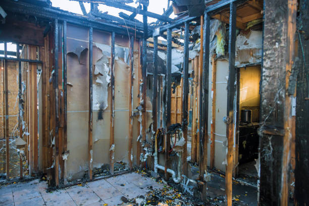 Professional Fire Damage Removal technician working in Bean Station, TN